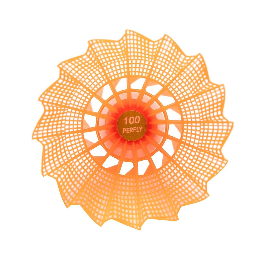 IMG_8590063_23