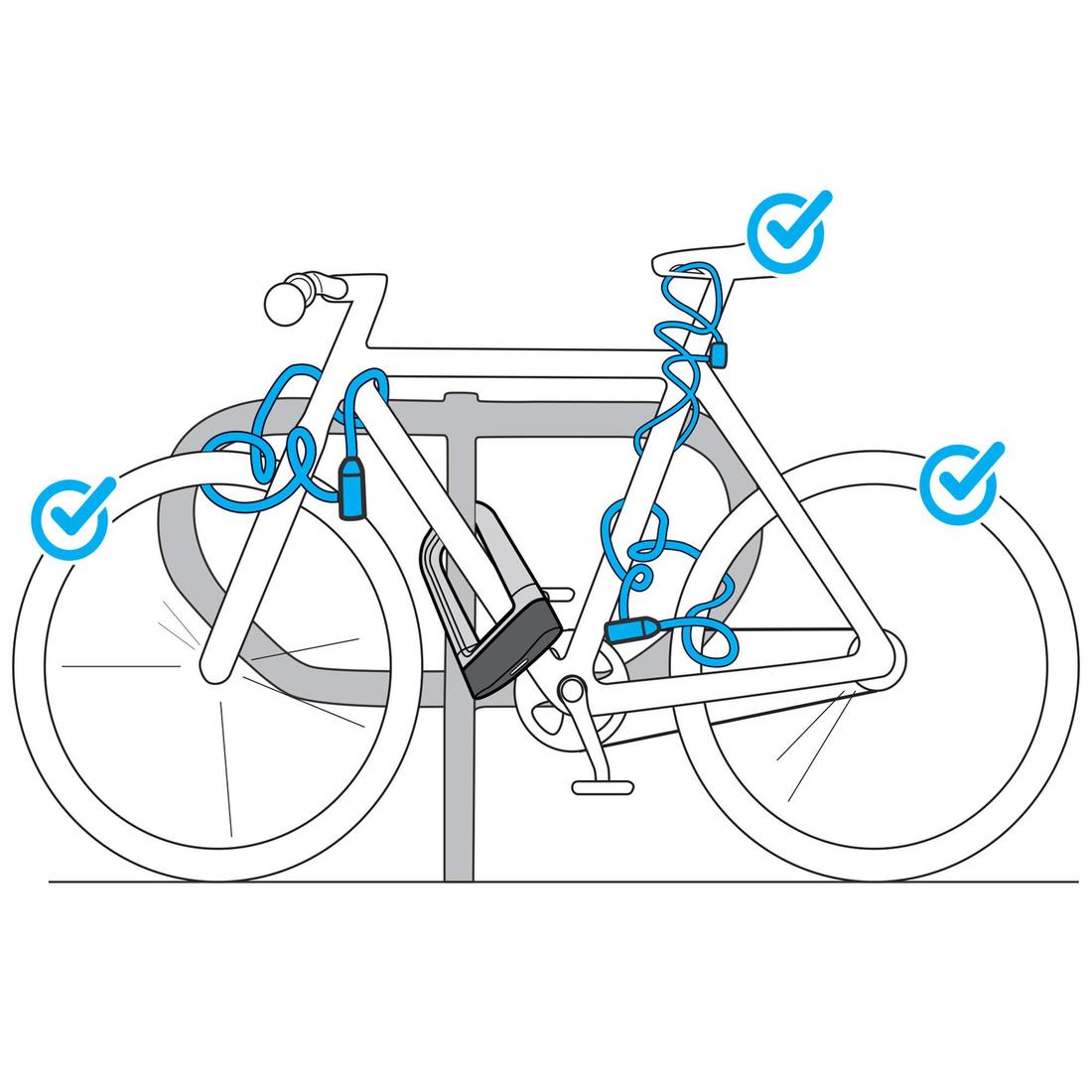 IMG_8303580_3