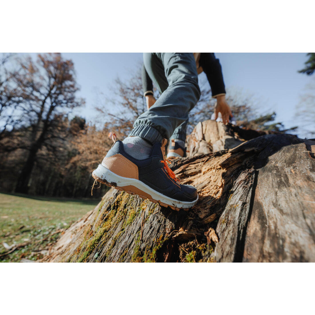 IMG_8736029_16