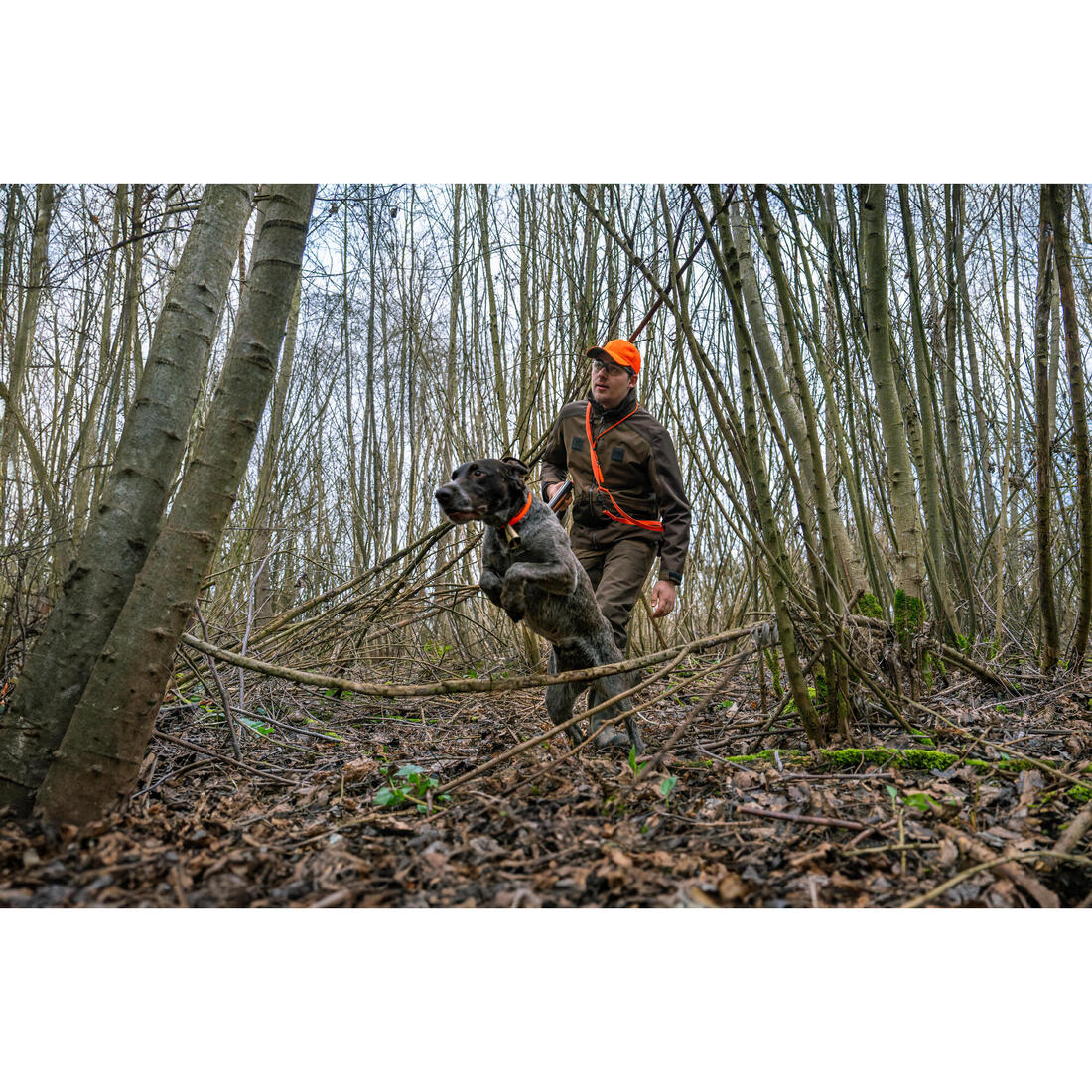IMG_8826274_8