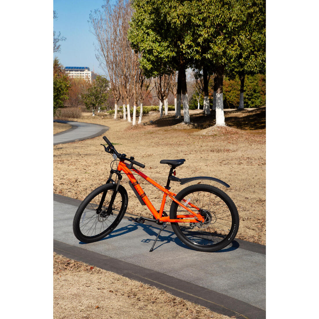 IMG_8615206_11