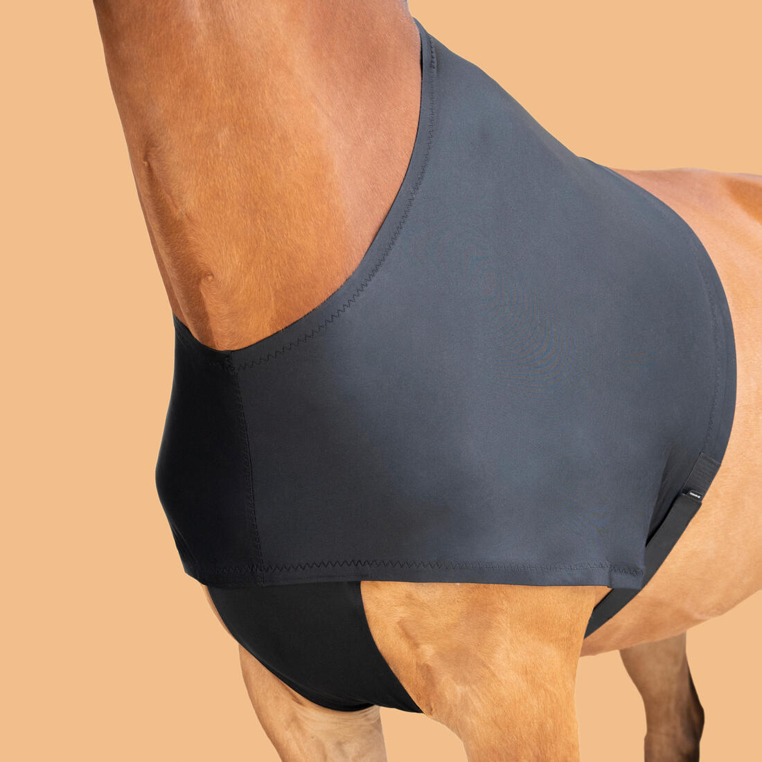 IMG_8392811_1