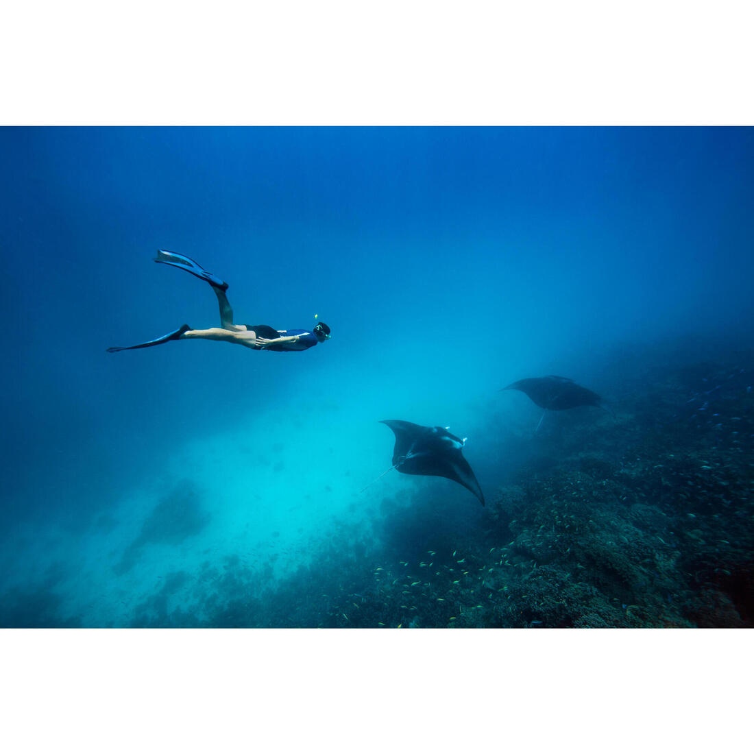 IMG_2227594