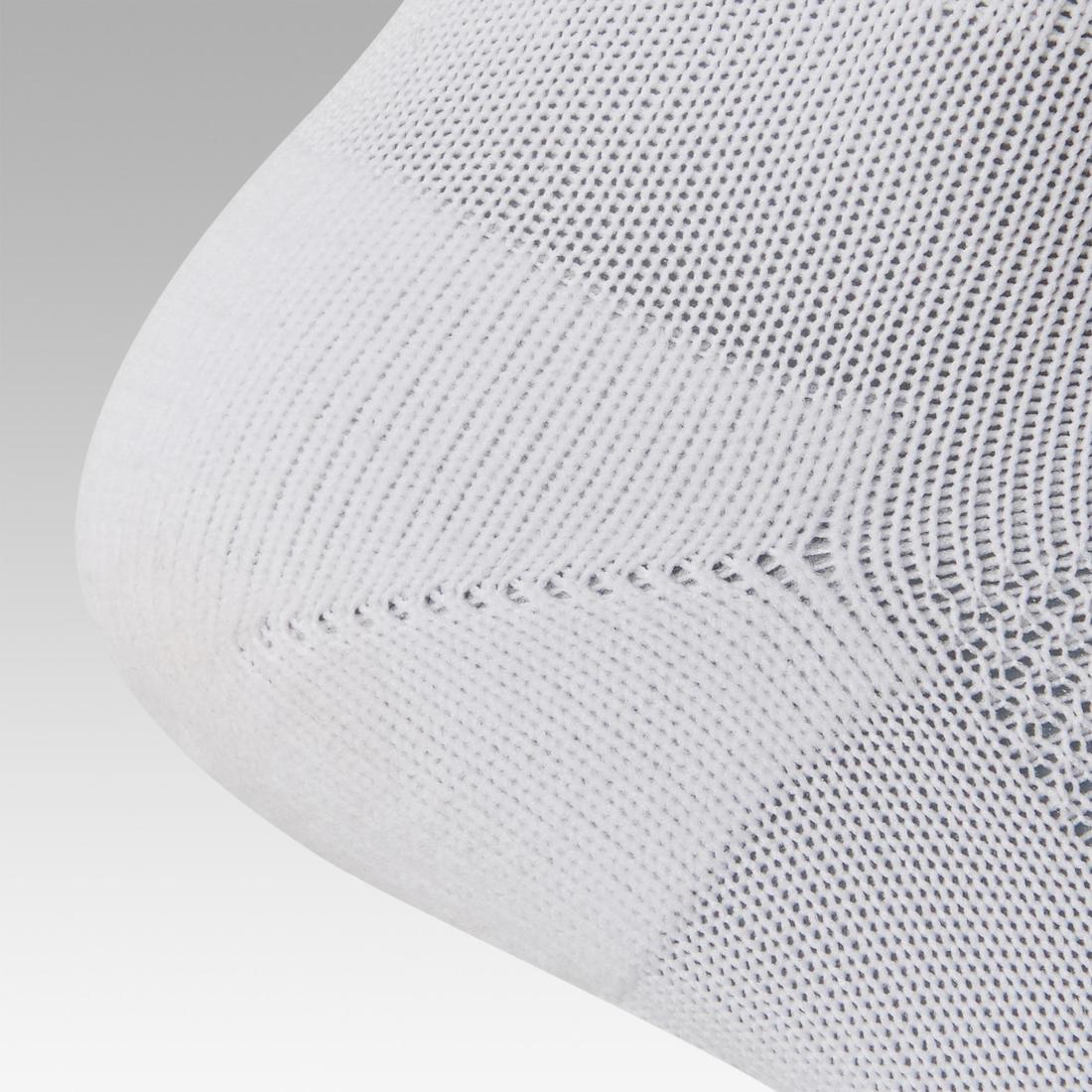 IMG_8350117_6
