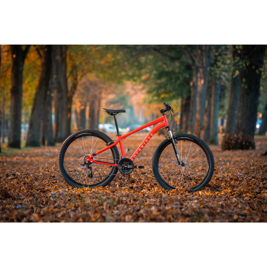 IMG_8802150_9
