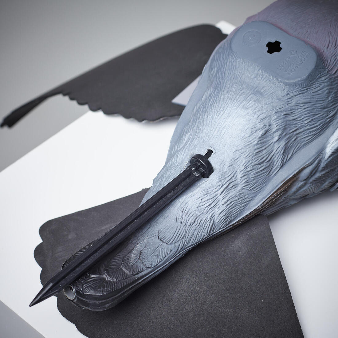 IMG_8647285_3