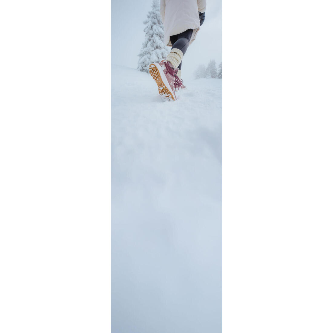 IMG_8641509_8