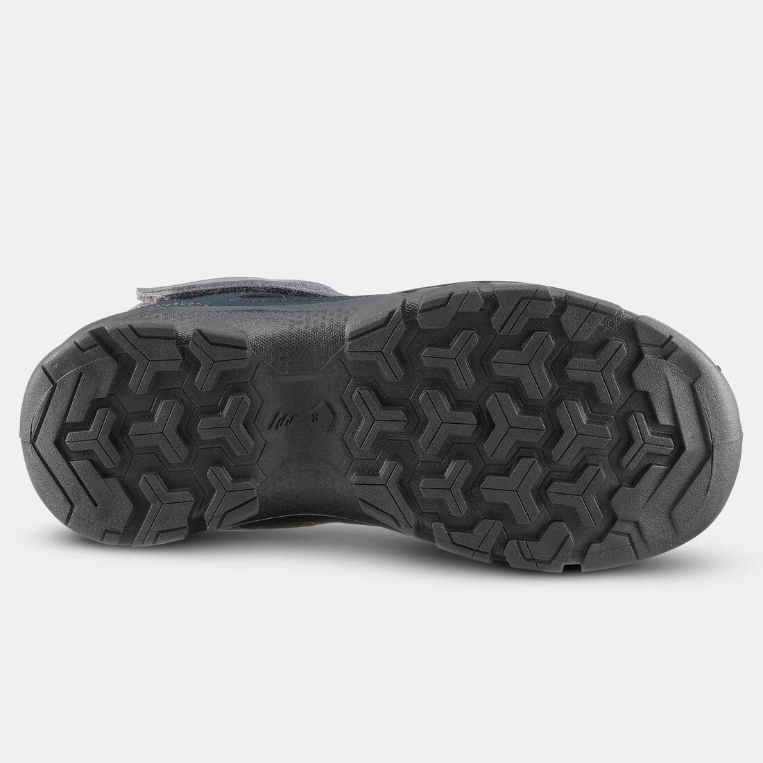 IMG_8642644_3