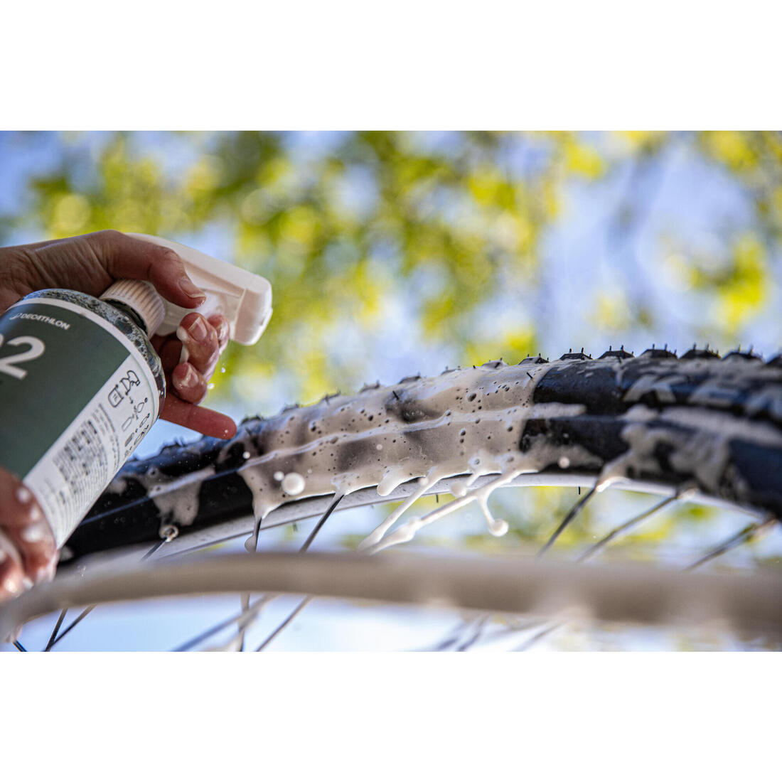 IMG_8578381_12
