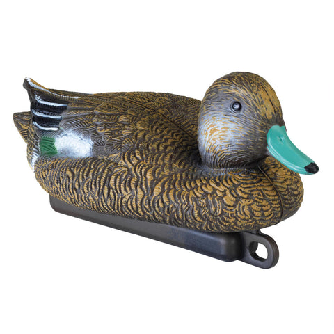 





Female Widgeon Decoy