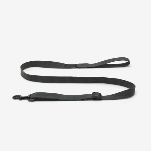 





Dog Leash Green 100