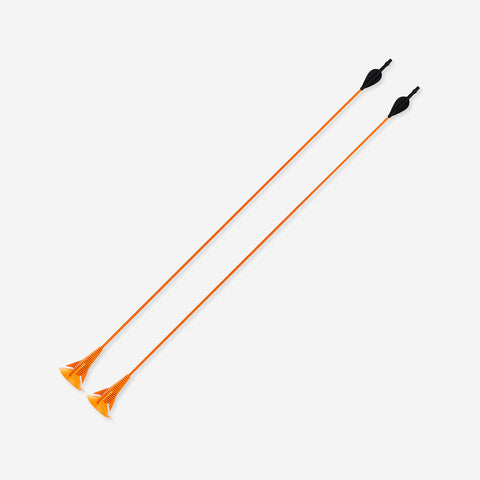 





Archery Arrows Twin-Pack Discosoft