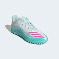 IMG_3134565