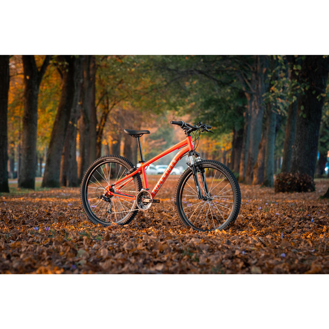 IMG_8802150_12