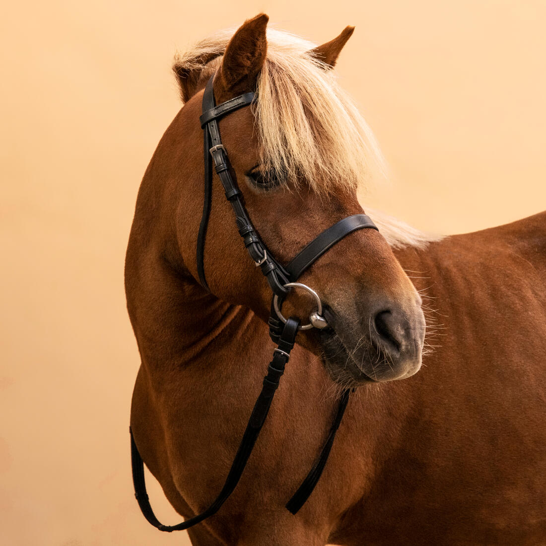 IMG_8339776_9