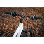 Product thumbnail 5 of 13