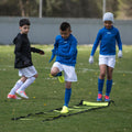 IMG_8310058_8