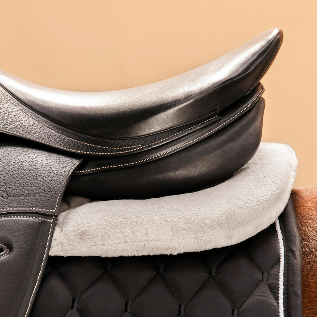 IMG_8578570_6