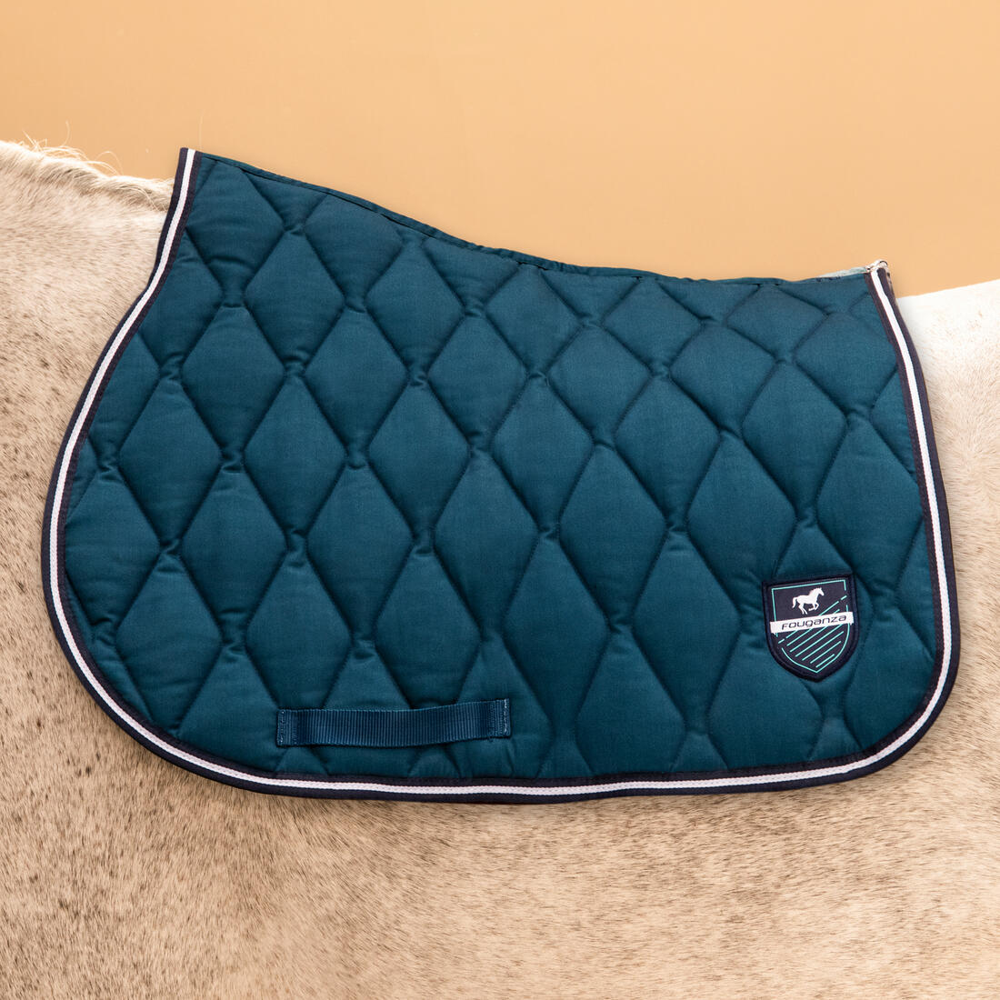 IMG_8556505_6