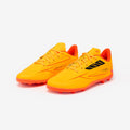 IMG_2882020