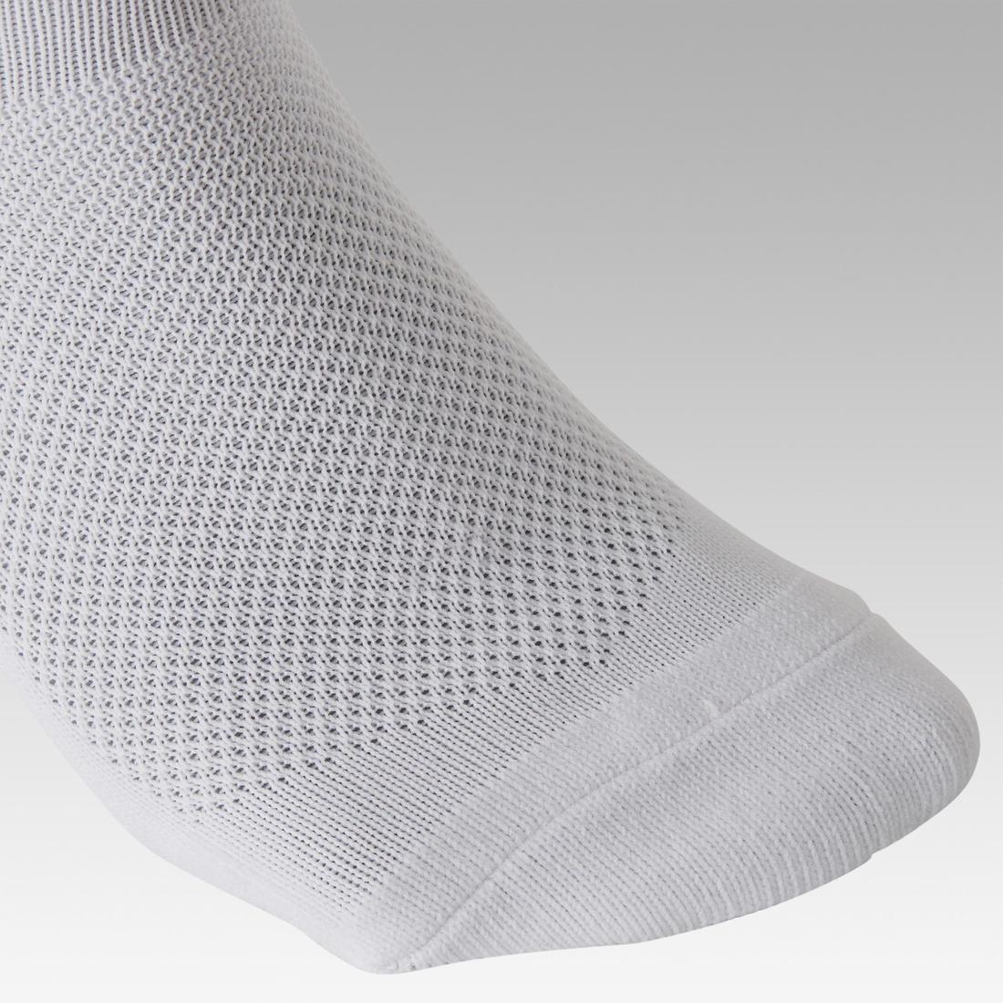 IMG_8350125_3