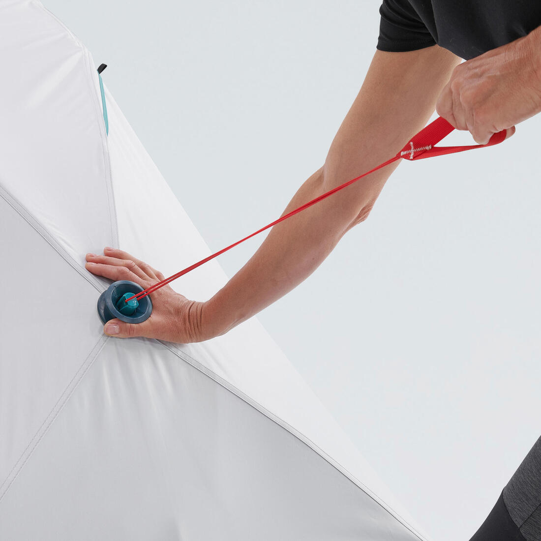 IMG_8553541_6