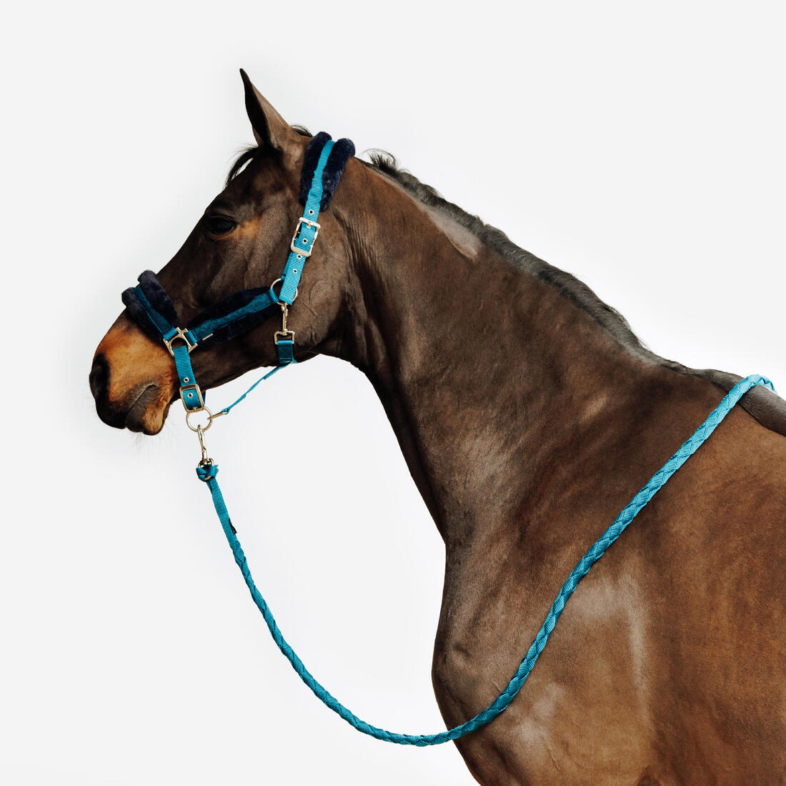 IMG_8874113_1