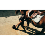 Product thumbnail 8 of 8