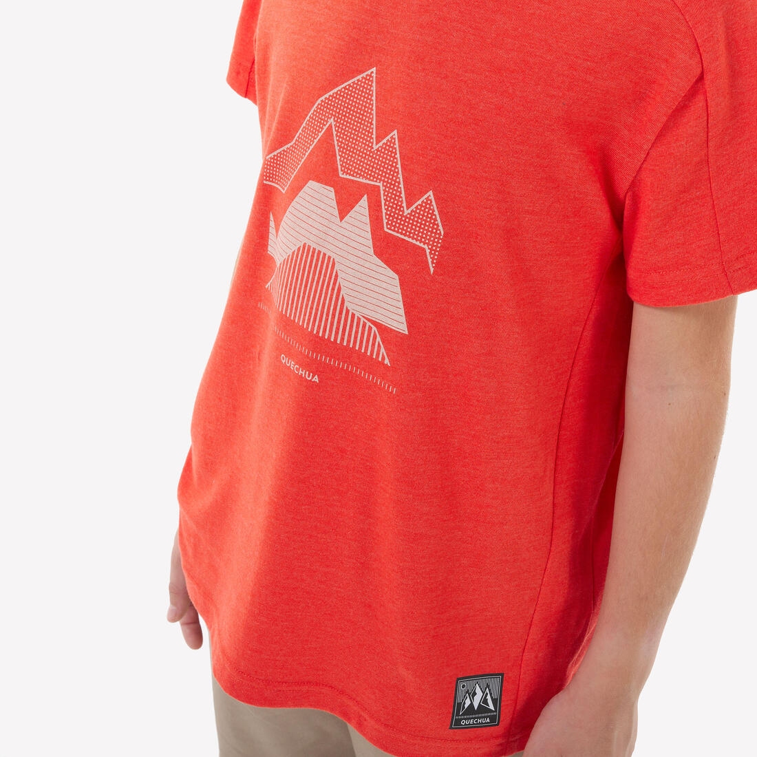 IMG_8843834_3