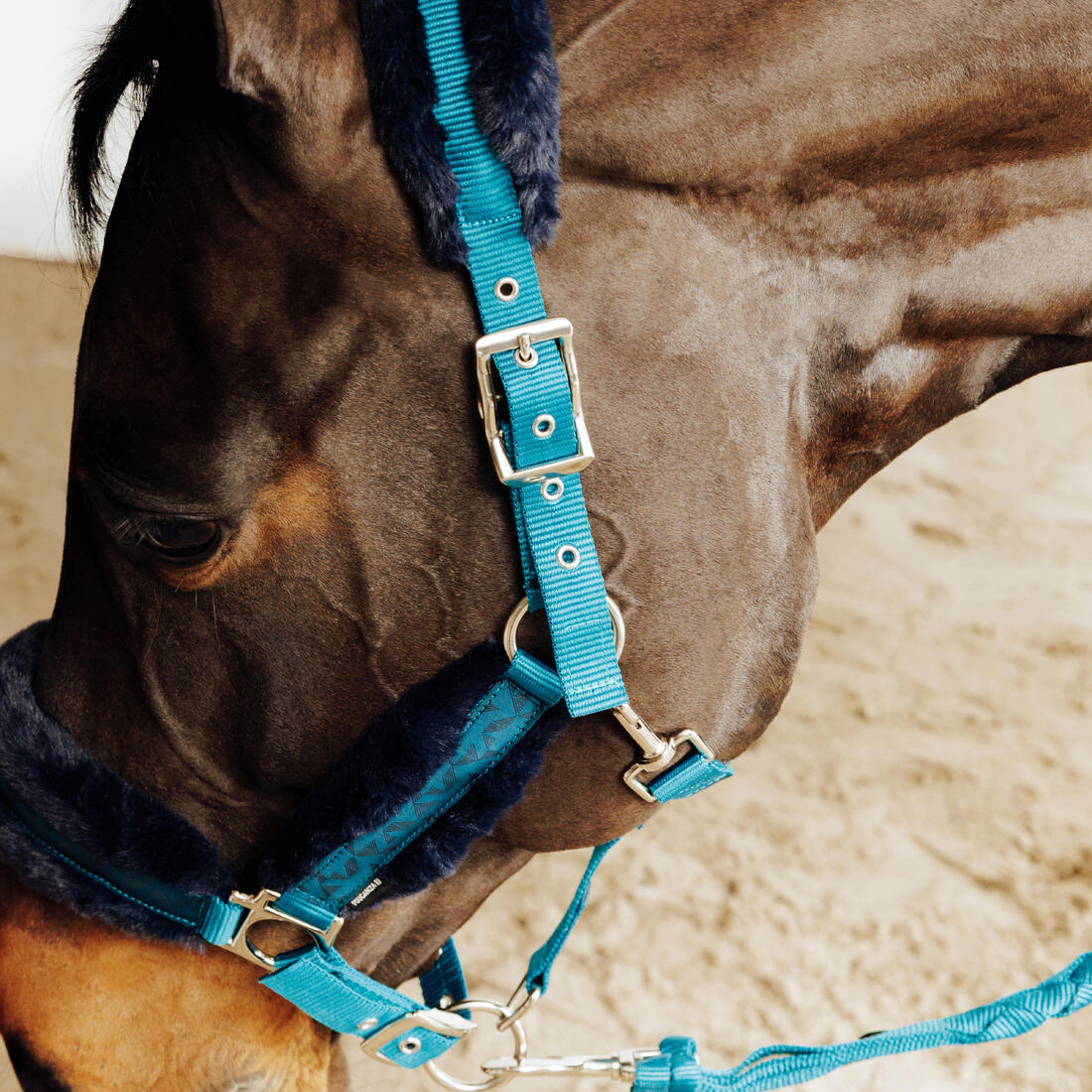 IMG_8874113_3