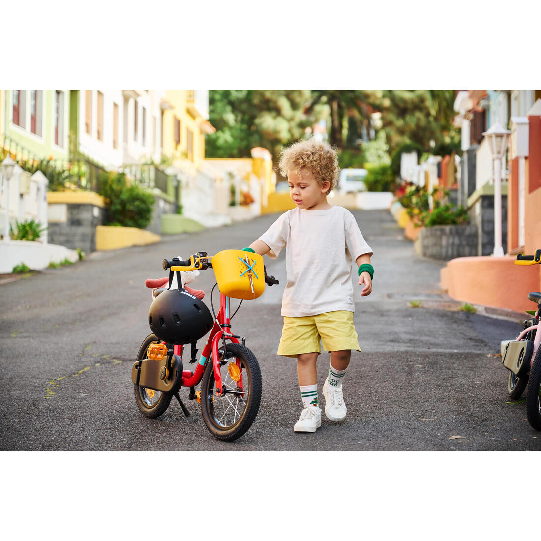 IMG_8646304_21