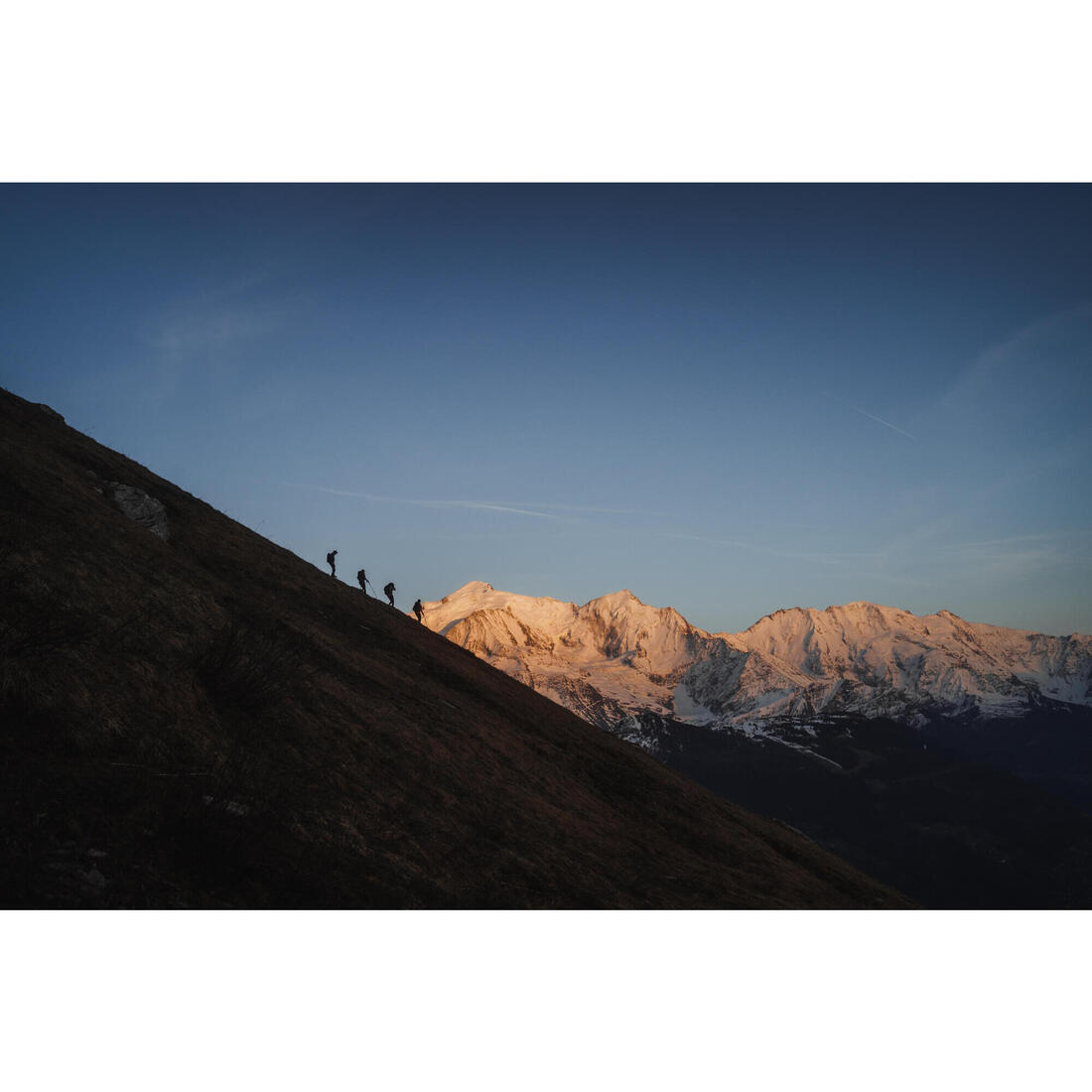 IMG_2340541