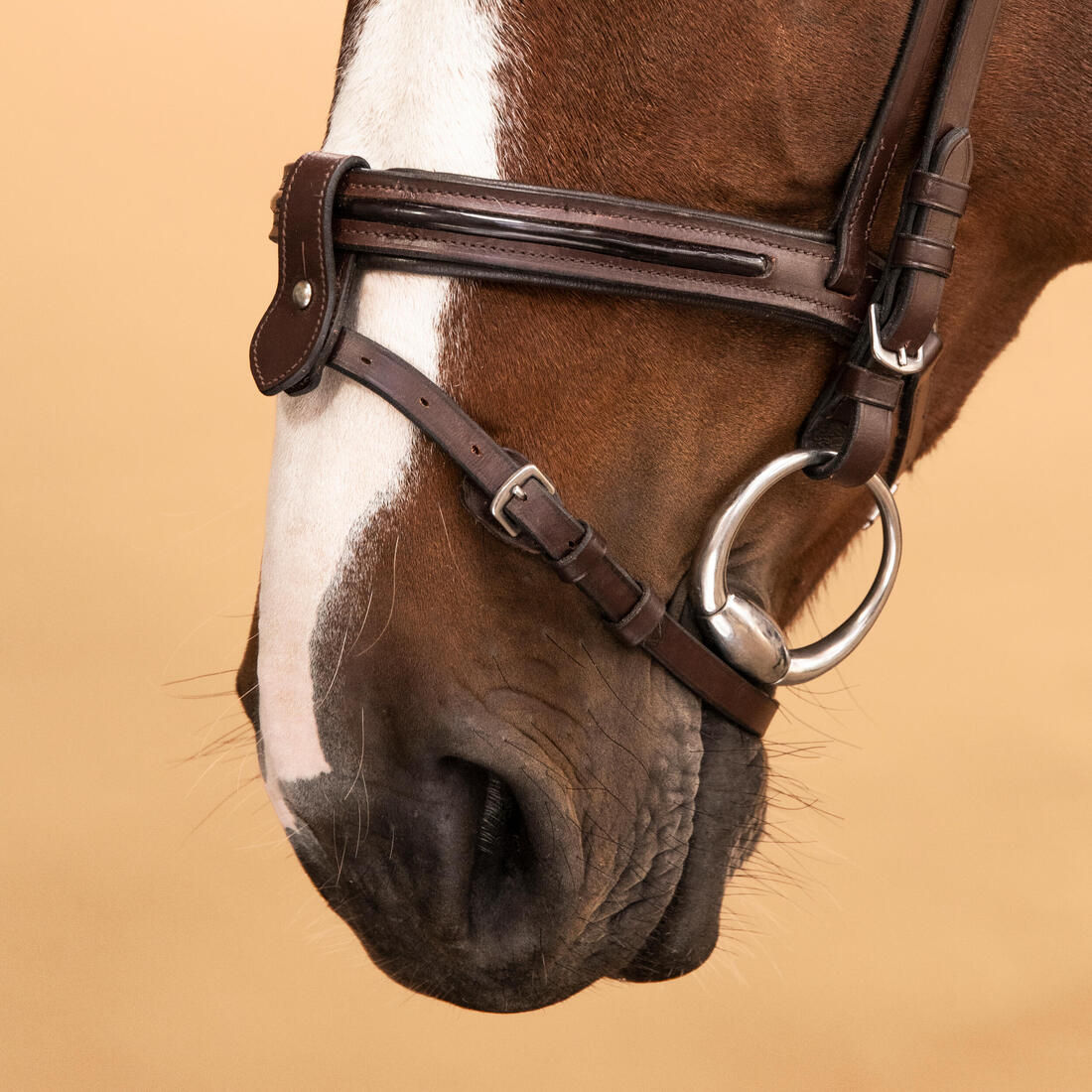 IMG_8489584_6