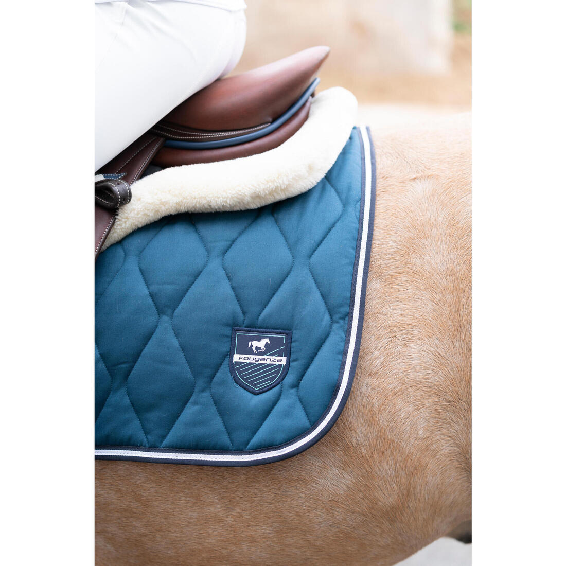 IMG_8556505_10