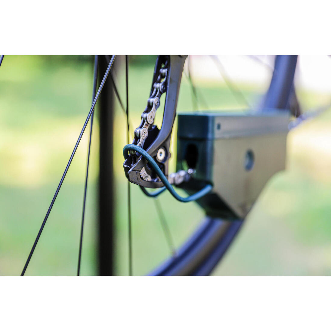 IMG_8651030_9