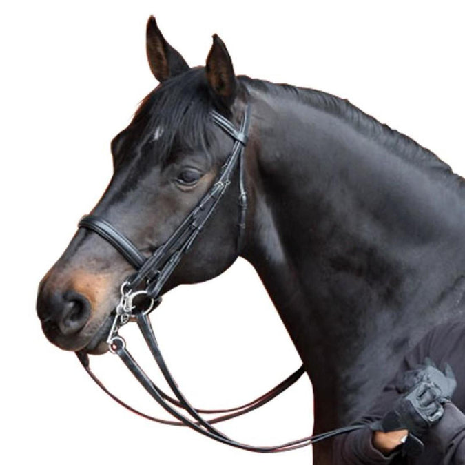 





Beauvalais Horse Riding Bridle + Reins Set - Black, photo 1 of 1