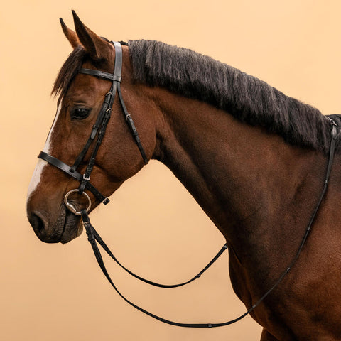 





Horse Riding Leather Bridle With French Noseband & Reins for Horse & Pony 100 - Black