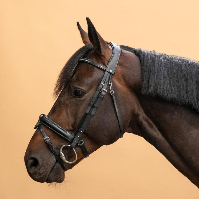 





Horse Riding Leather Bridle With French Noseband 580 - Black Rhinestones, photo 1 of 8